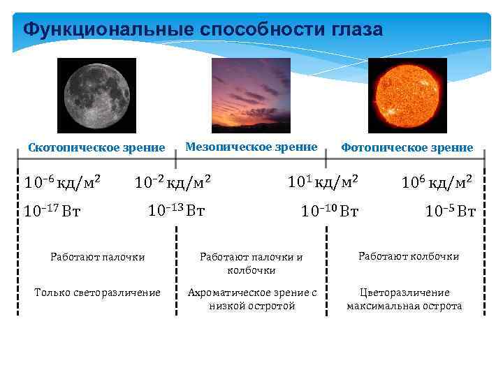 Функциональные способности глаза Скотопическое зрение 10– 6 кд/м 2 Мезопическое зрение 10– 2 кд/м