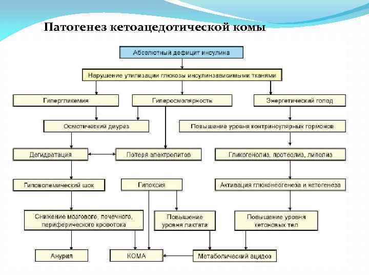 Патогенез кетоацедотической комы 