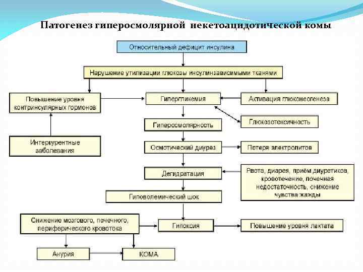 Патогенез гиперосмолярной некетоацидотической комы 