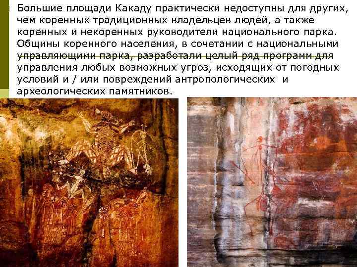 p Большие площади Какаду практически недоступны для других, чем коренных традиционных владельцев людей, а