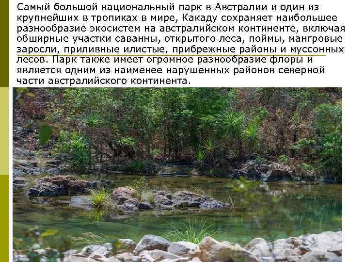  Самый большой национальный парк в Австралии и один из крупнейших в тропиках в