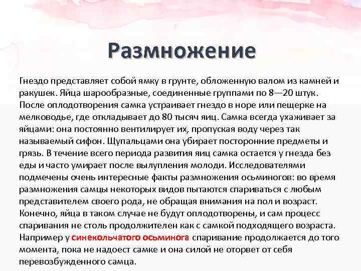 Размножение Гнездо представляет собой ямку в грунте, обложенную валом из камней и ракушек. Яйца