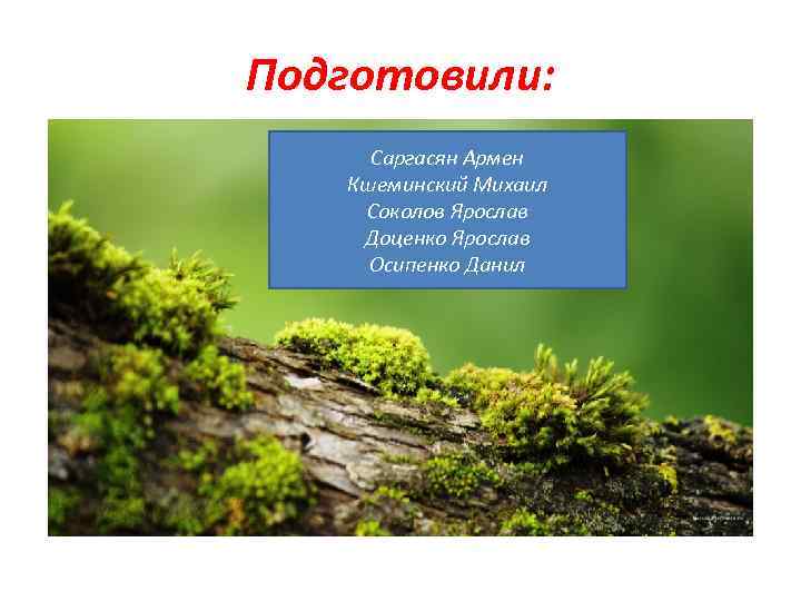 Подготовили: Саргасян Армен Кшеминский Михаил Соколов Ярослав Доценко Ярослав Осипенко Данил 