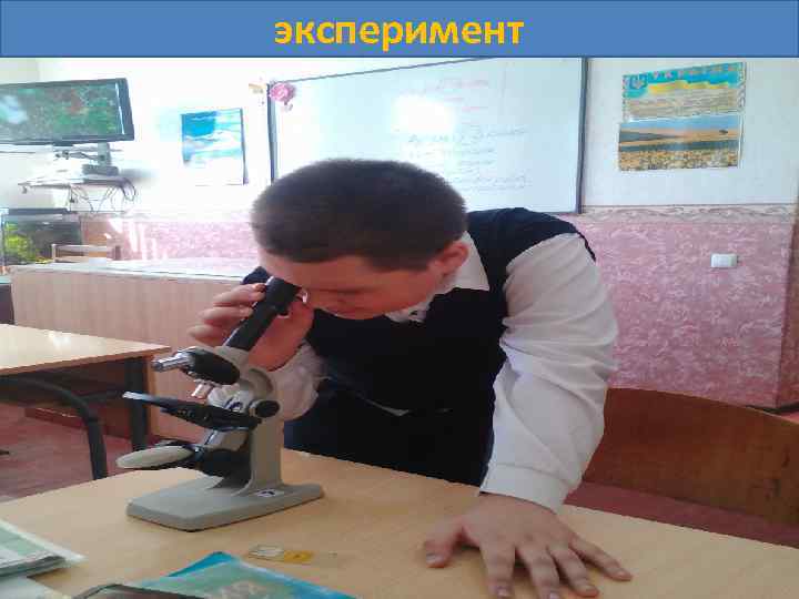 эксперимент 