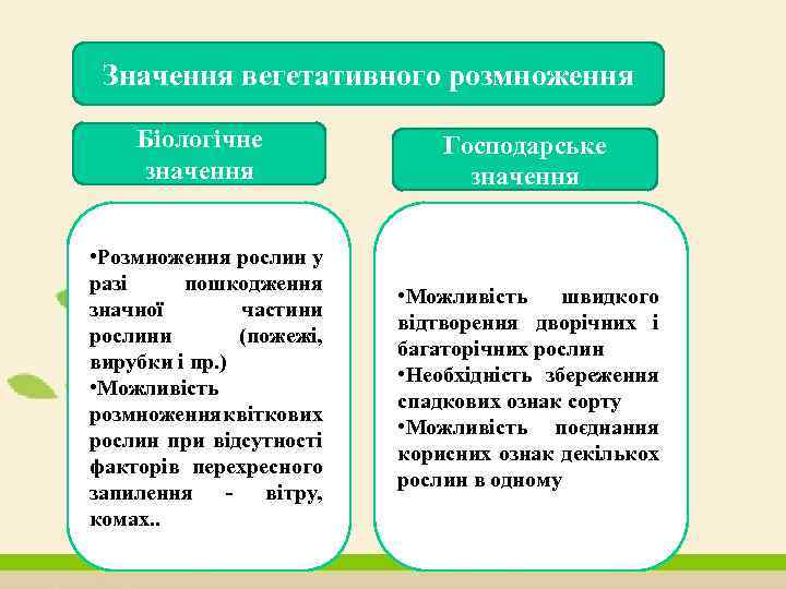 Значення вегетативного розмноження Біологічне значення Господарське значення • Розмноження рослин у разі пошкодження значної