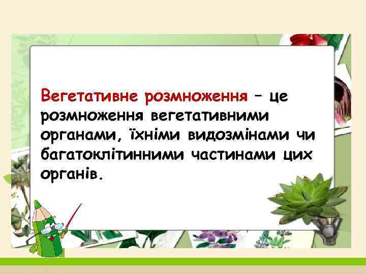 Вегетативне розмноження – це розмноження вегетативними органами, їхніми видозмінами чи багатоклітинними частинами цих органів.