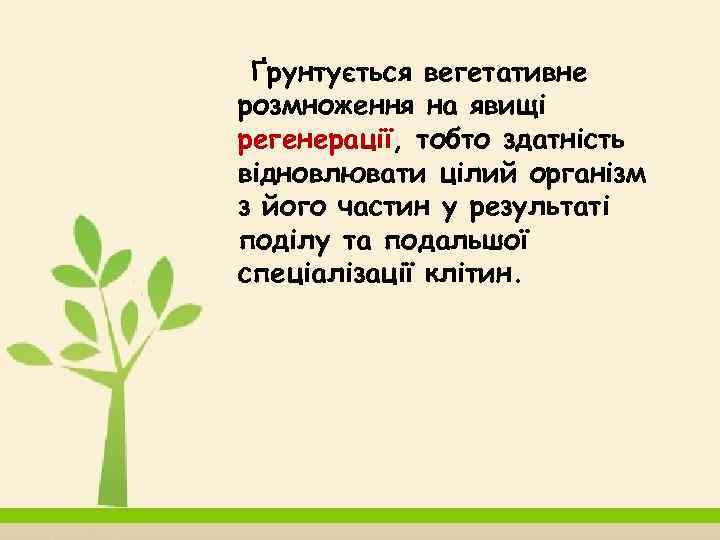 Ґрунтується вегетативне розмноження на явищі регенерації, тобто здатність відновлювати цілий організм з його частин