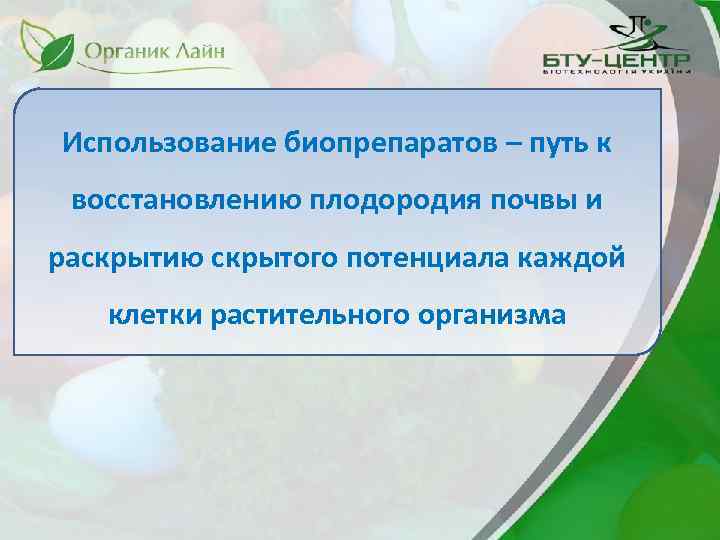 Использование биопрепаратов – путь к восстановлению плодородия почвы и раскрытию скрытого потенциала каждой клетки