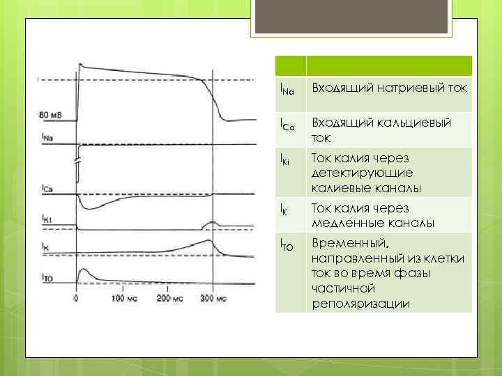 INa Входящий натриевый ток ICa Входящий кальциевый ток IKi Ток калия через детектирующие калиевые