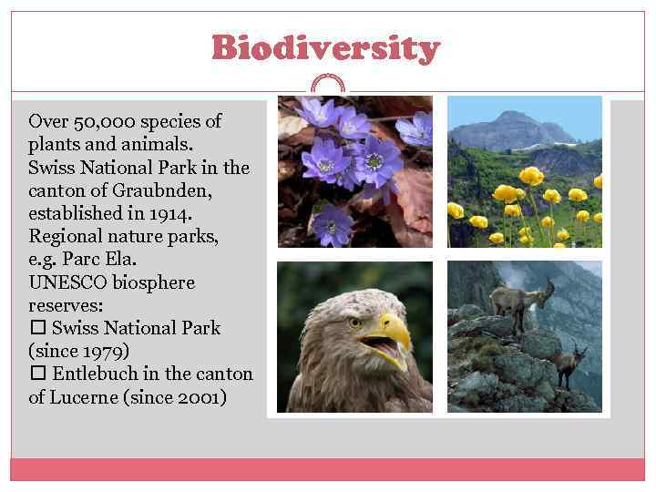 Biodiversity Over 50, 000 species of plants and animals. Swiss National Park in the