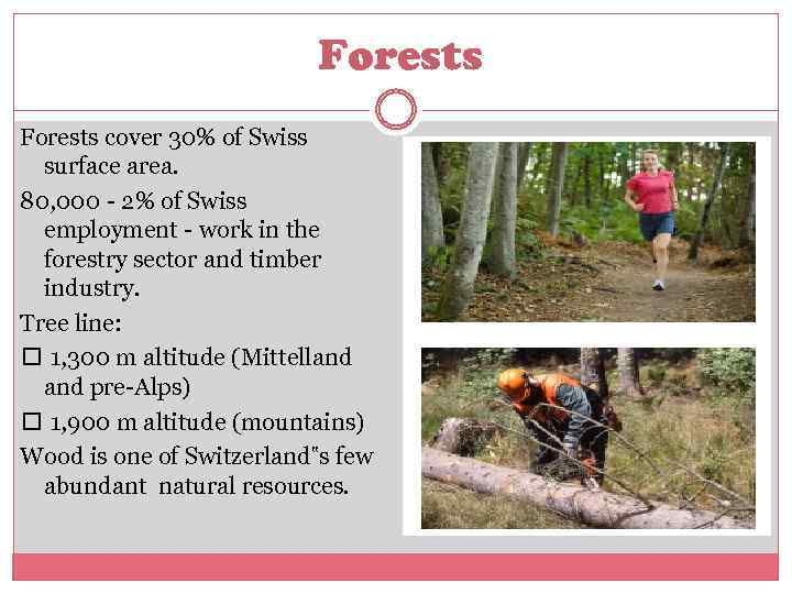 Forests cover 30% of Swiss surface area. 80, 000 - 2% of Swiss employment