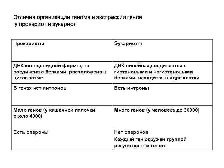 Отличия организации генома и экспрессии генов у прокариот и эукариот Прокариоты Эукариоты ДНК кольцевидной