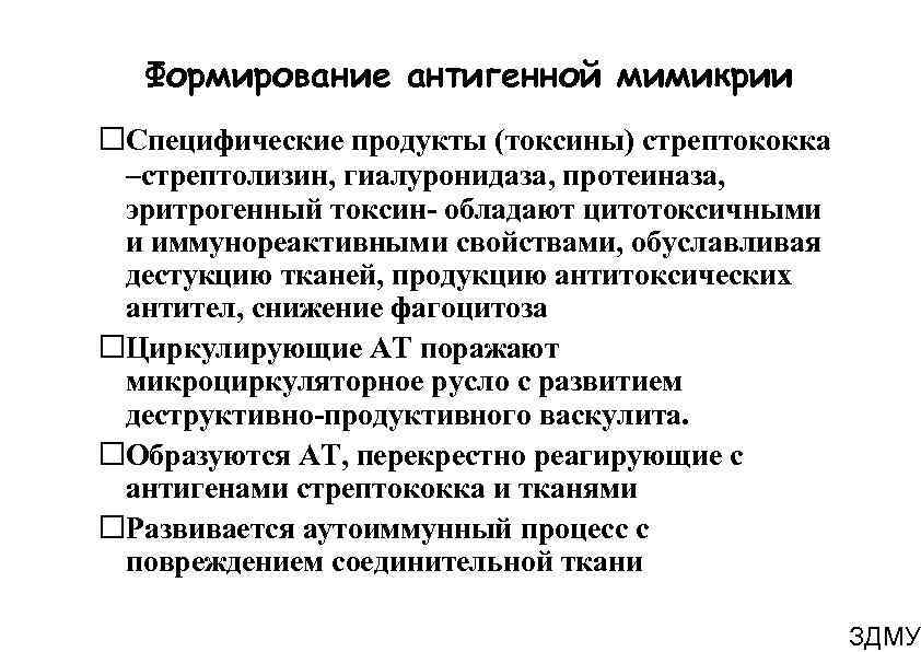 Формирование антигенной мимикрии Специфические продукты (токсины) стрептококка –стрептолизин, гиалуронидаза, протеиназа, эритрогенный токсин- обладают цитотоксичными