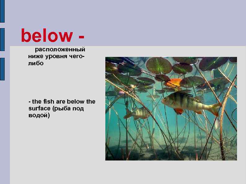 below расположенный ниже уровня чеголибо - the fish are below the surface (рыба под