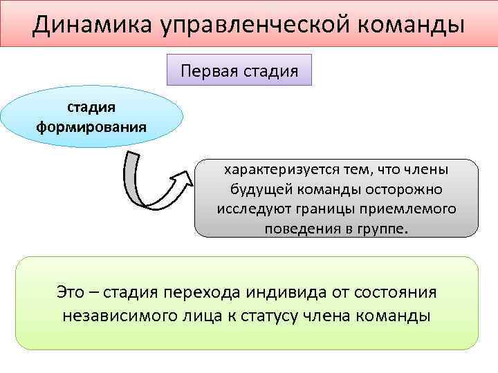 Динамика управленческой команды Первая стадия формирования характеризуется тем, что члены будущей команды осторожно исследуют