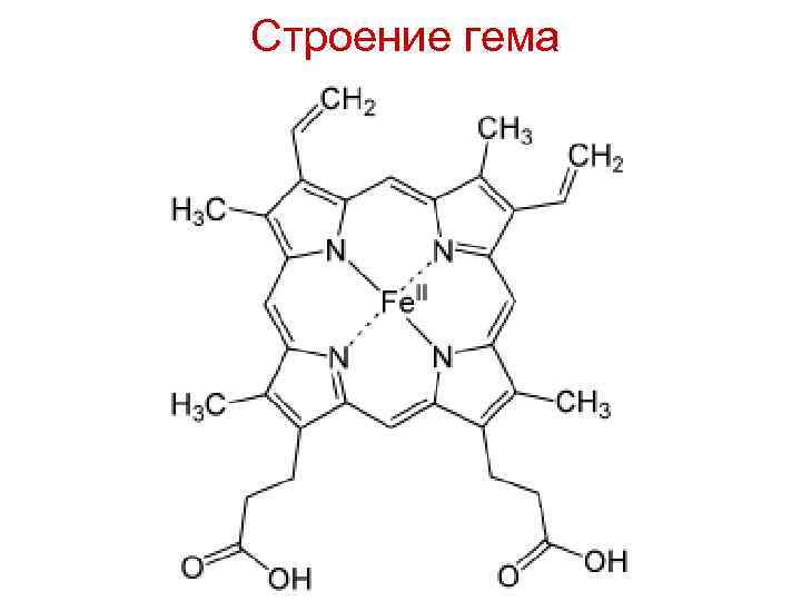 Строение гема 