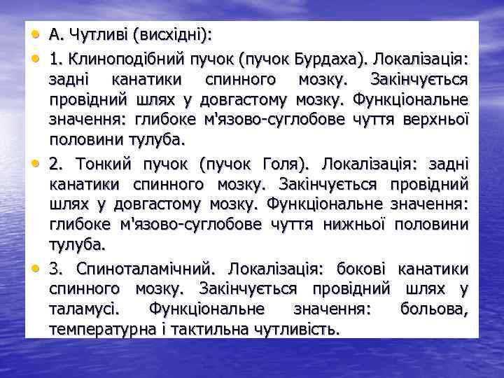  • А. Чутливі (висхідні): • 1. Клиноподібний пучок (пучок Бурдаха). Локалізація: • •