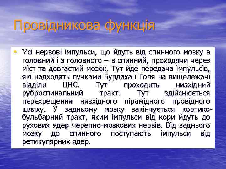 Провідникова функція • Усі нервові імпульси, що йдуть від спинного мозку в головний і