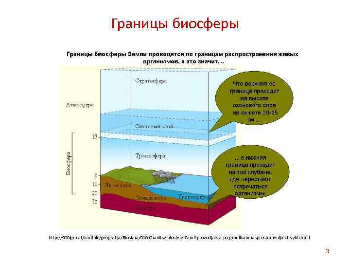 Границы биосферы http: //900 igr. net/kartinki/geografija/Biosfera/010 -Granitsy-biosfery-Zemli-provodjatsja-po-granitsam-rasprostranenija-zhivykh. html 3 