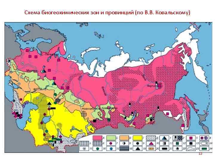 Схема биогеохимических зон и провинций (по В. В. Ковальскому) 12 