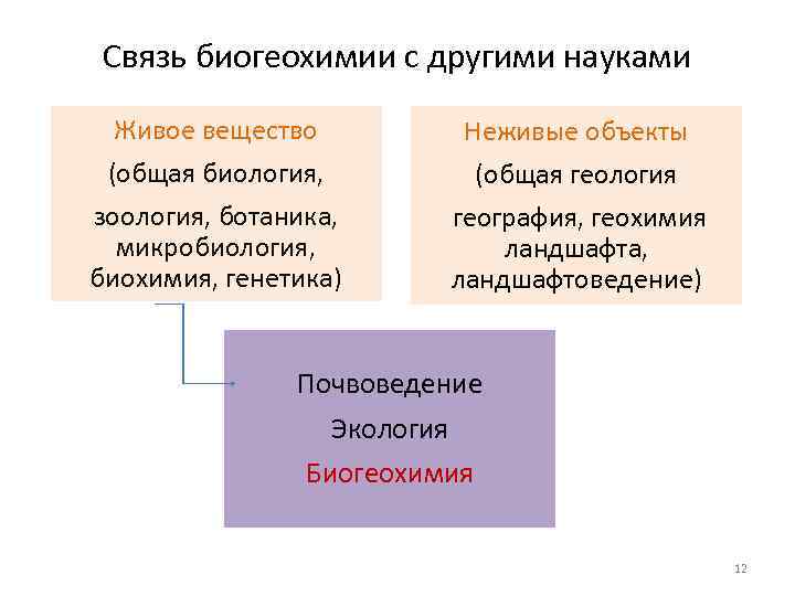 Связь биогеохимии с другими науками Живое вещество (общая биология, зоология, ботаника, микробиология, биохимия, генетика)