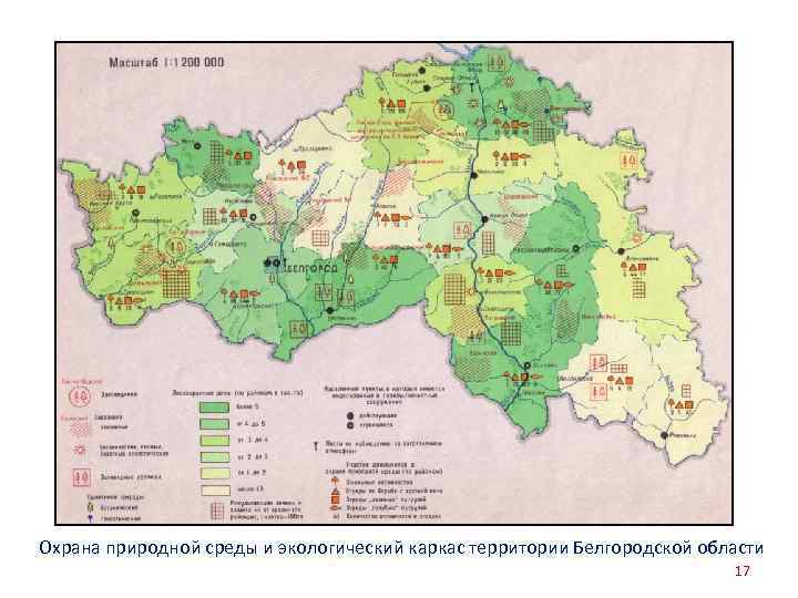 Охрана природной среды и экологический каркас территории Белгородской области 17 