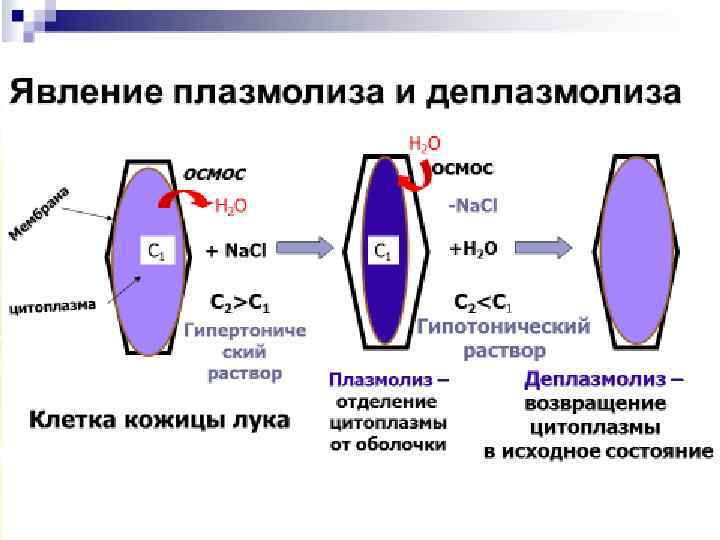 Объясните как называется явление показанное на рисунке и в результате какого процесса происходит