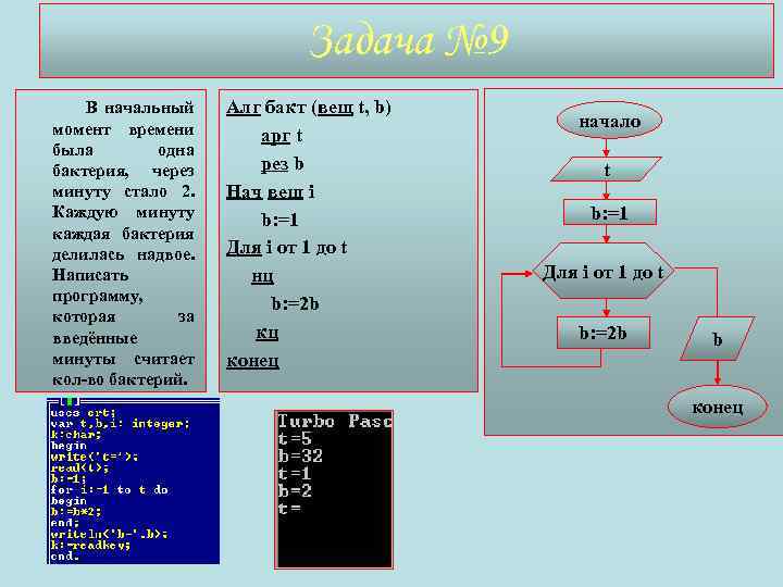 Задача № 9 В начальный момент времени была одна бактерия, через минуту стало 2.