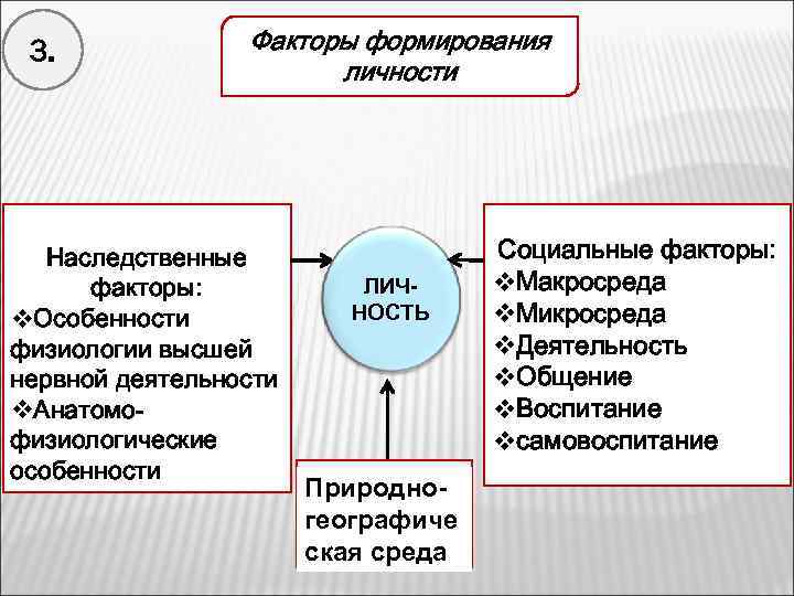 3. Факторы формирования личности Наследственные факторы: v. Особенности физиологии высшей нервной деятельности v. Анатомофизиологические