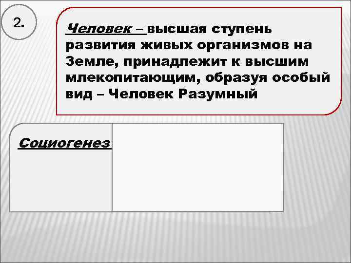 2. Человек – высшая ступень развития живых организмов на Земле, принадлежит к высшим млекопитающим,