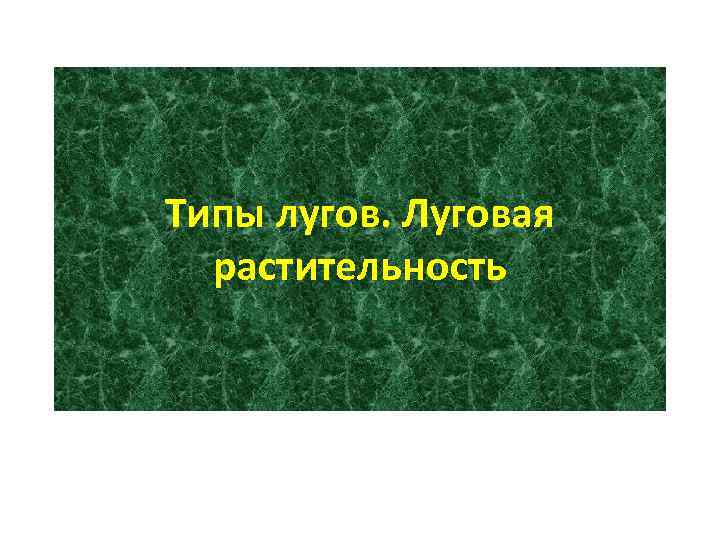 Типы лугов. Луговая растительность 