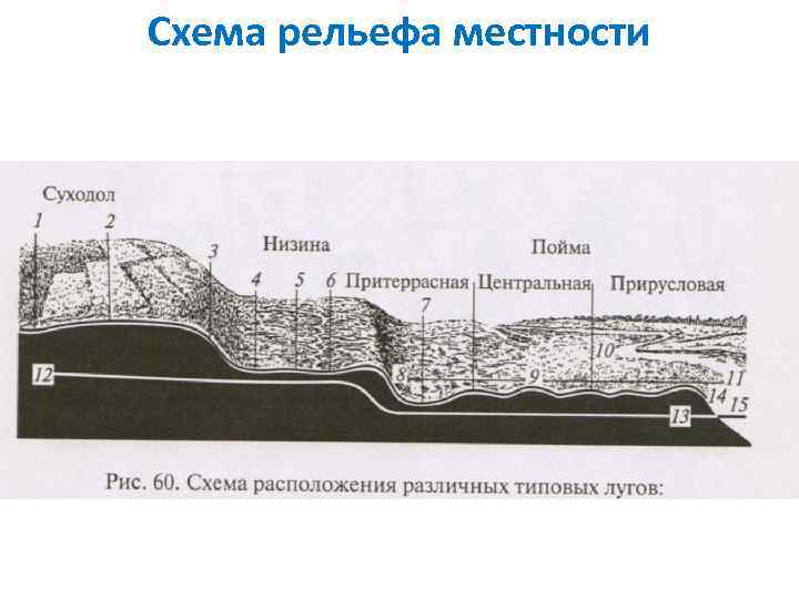 Схема рельефа