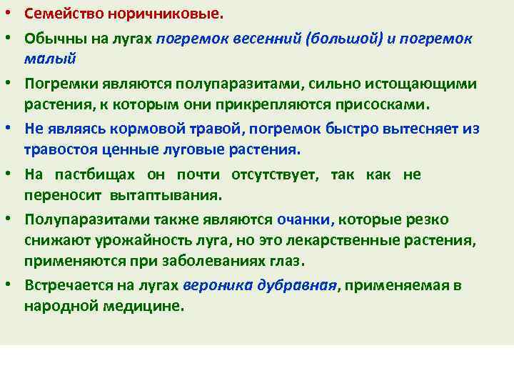  • Семейство норичниковые. • Обычны на лугах погремок весенний (большой) и погремок малый
