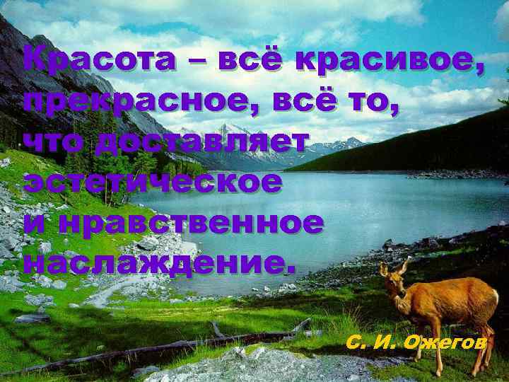 Красота – всё красивое, прекрасное, всё то, что доставляет эстетическое и нравственное наслаждение. С.