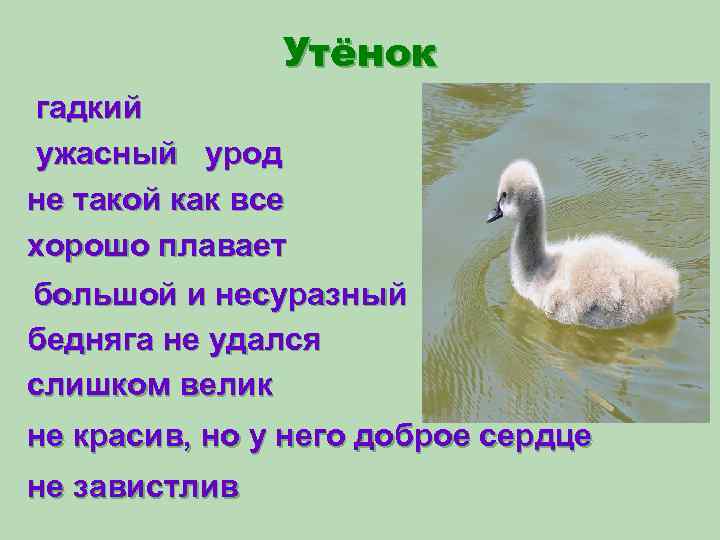 Андерсен гадкий утенок урок. Стих Гадкий утенок. План Гадкий утенок 3 класс литературное чтение. Тест по гадкому утенку с ответами. Пословицы к гадкому утенку.