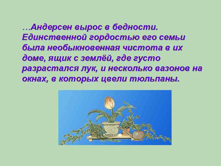 …Андерсен вырос в бедности. Единственной гордостью его семьи была необыкновенная чистота в их доме,