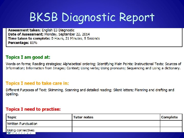 BKSB Diagnostic Report 