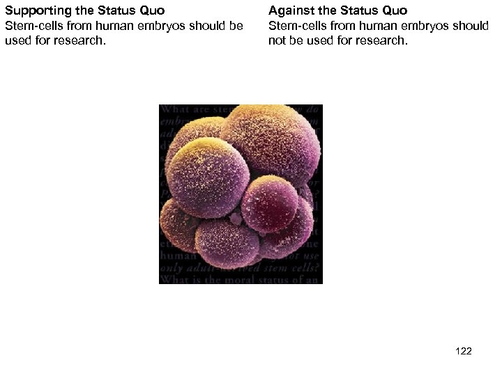 Supporting the Status Quo Stem-cells from human embryos should be used for research. Against