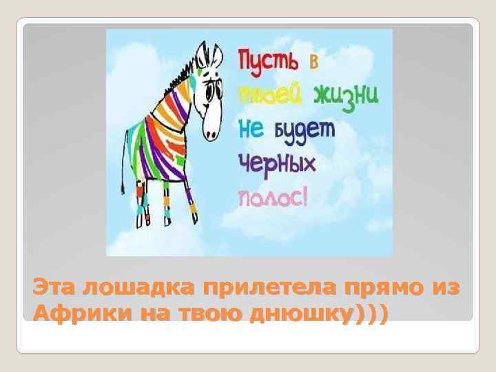 Эта лошадка прилетела прямо из Африки на твою днюшку))) 