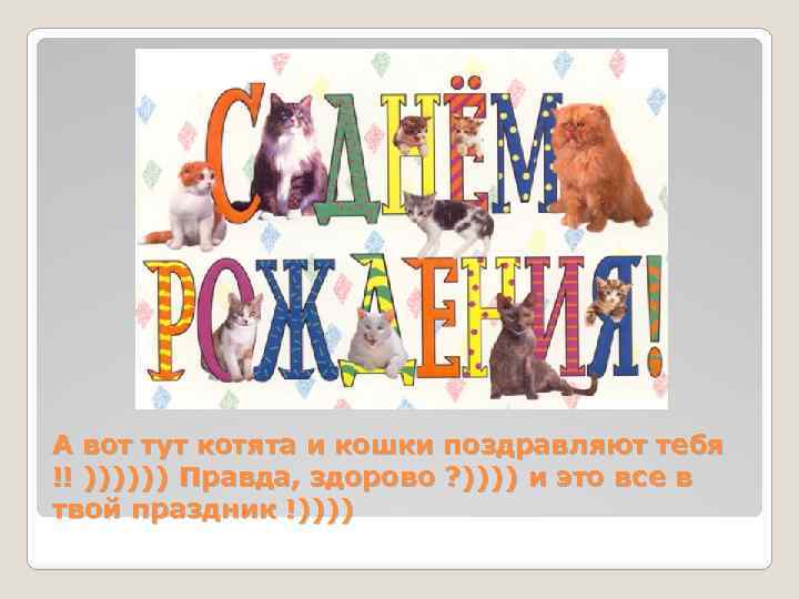 А вот тут котята и кошки поздравляют тебя !! )))))) Правда, здорово ? ))))