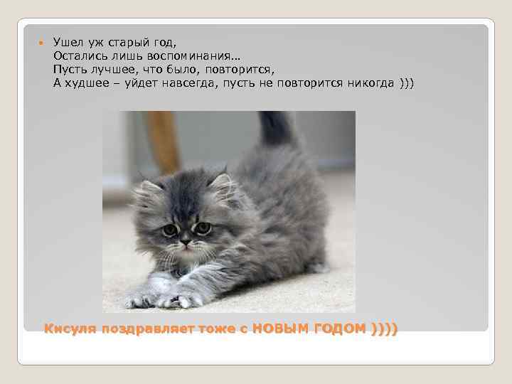  Ушел уж старый год, Остались лишь воспоминания… Пусть лучшее, что было, повторится, А