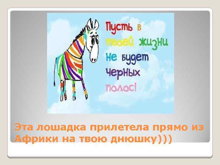 Эта лошадка прилетела прямо из Африки на твою днюшку))) 