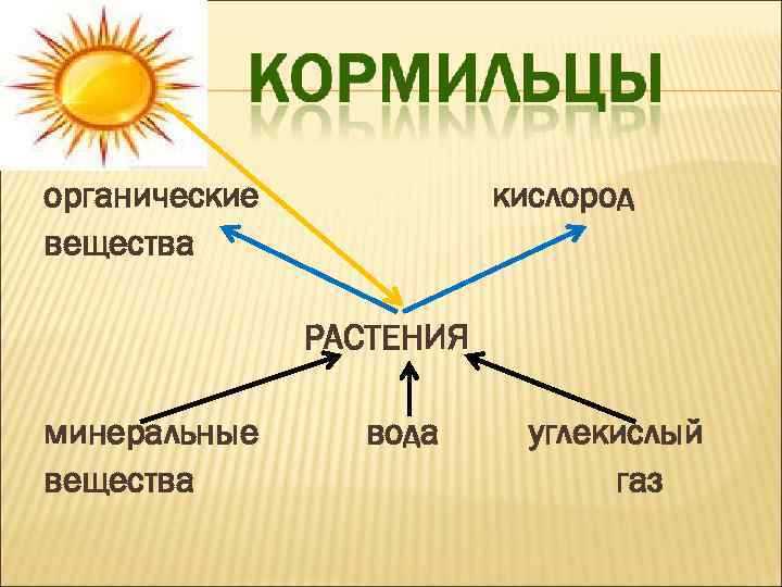 органические вещества кислород РАСТЕНИЯ минеральные вещества вода углекислый газ 