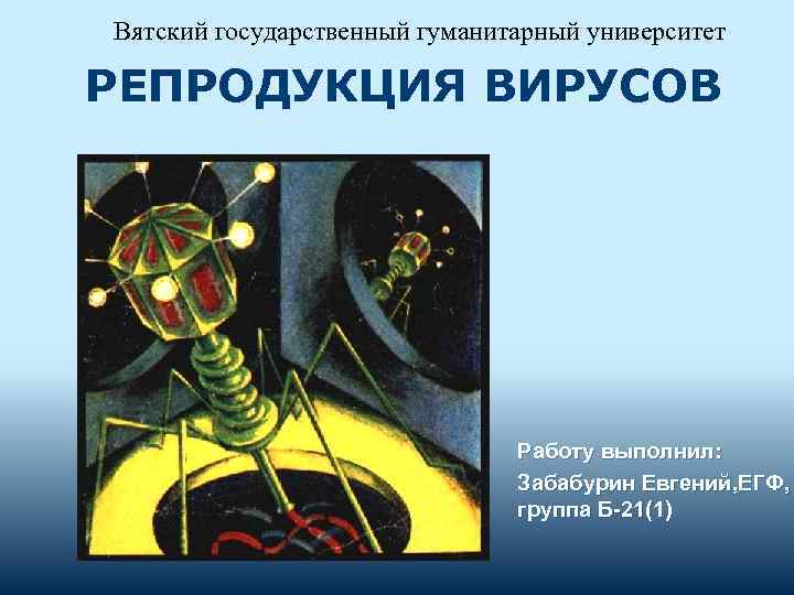 Вятский государственный гуманитарный университет РЕПРОДУКЦИЯ ВИРУСОВ Работу выполнил: Забабурин Евгений, ЕГФ, группа Б-21(1) 