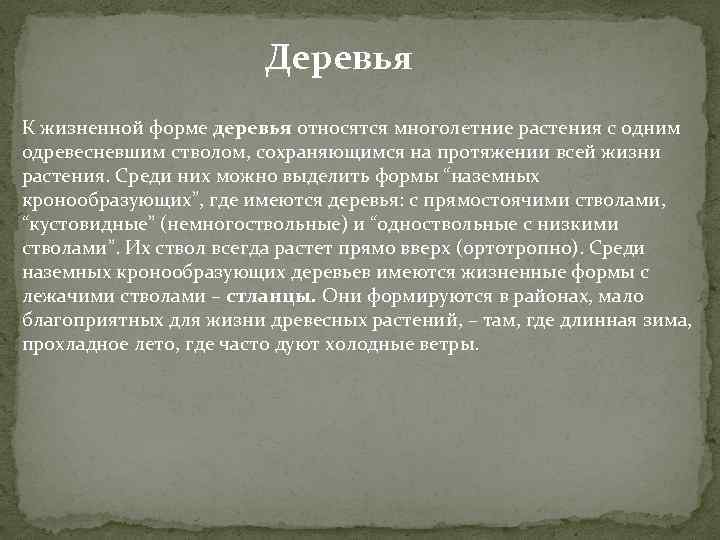 Деревья К жизненной форме деревья относятся многолетние растения с одним одревесневшим стволом, сохраняющимся на