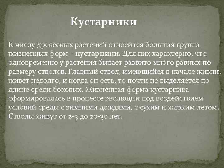 Кустарники К числу древесных растений относится большая группа жизненных форм – кустарники. Для них