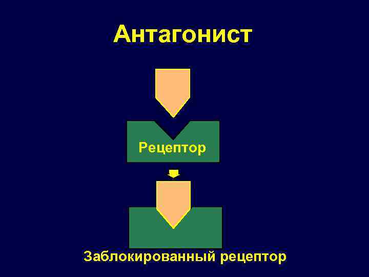 Антагонист Рецептор Заблокированный рецептор 