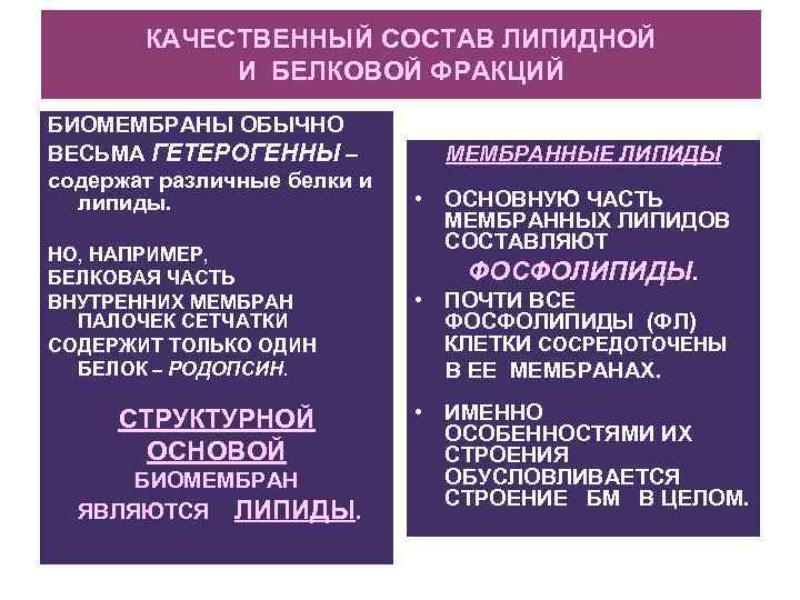 КАЧЕСТВЕННЫЙ СОСТАВ ЛИПИДНОЙ И БЕЛКОВОЙ ФРАКЦИЙ БИОМЕМБРАНЫ ОБЫЧНО ВЕСЬМА ГЕТЕРОГЕННЫ – содержат различные белки