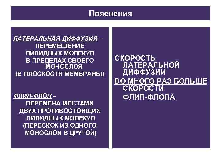 Пояснения ЛАТЕРАЛЬНАЯ ДИФФУЗИЯ – ПЕРЕМЕЩЕНИЕ ЛИПИДНЫХ МОЛЕКУЛ В ПРЕДЕЛАХ СВОЕГО МОНОСЛОЯ (В ПЛОСКОСТИ МЕМБРАНЫ)