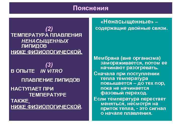 Пояснения (2) «Ненасыщенные» – содержащие двойные связи. ТЕМПЕРАТУРА ПЛАВЛЕНИЯ НЕНАСЫЩЕННЫХ ЛИПИДОВ НИЖЕ ФИЗИОЛОГИЧЕСКОЙ. (3)
